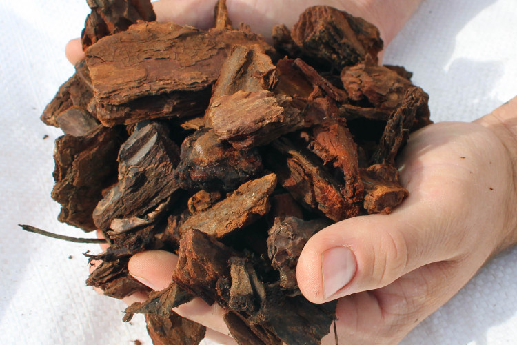 Premium Maritime Pine Bark 1525mm Premium Topsoil Supplies